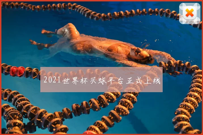 2021世界杯买球平台正式上线