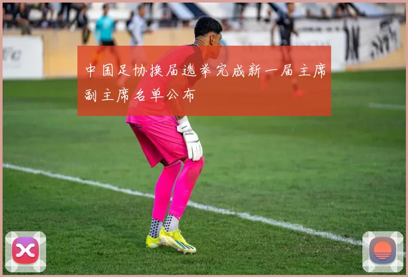 中国足协换届选举完成新一届主席副主席名单公布